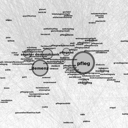 Text-Graph-Altenpflege